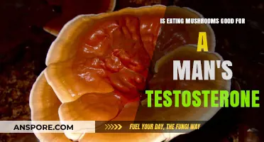 Mushrooms and Testosterone: Unlocking Male Hormonal Health Benefits
