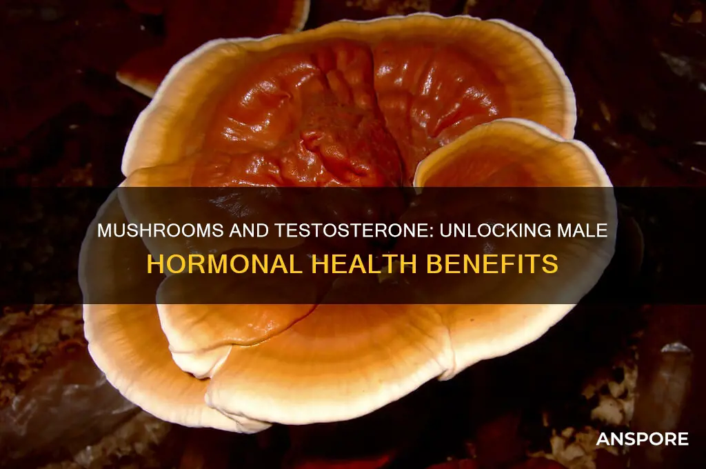 is eating mushrooms good for a man