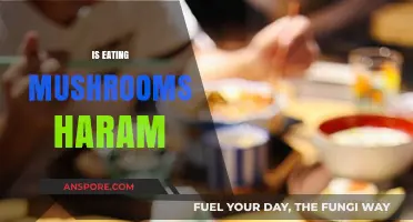 Are Mushrooms Halal or Haram? Exploring Islamic Dietary Laws