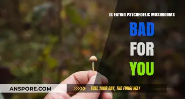 Psychedelic Mushrooms: Health Risks, Benefits, and Safe Consumption Explained