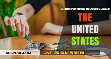 Are Psychedelic Mushrooms Legal in the United States?