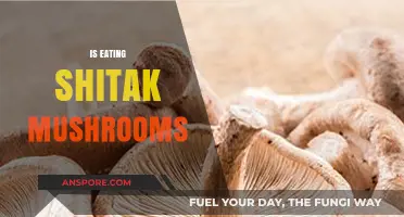 Discover the Health Benefits of Eating Shiitake Mushrooms Today