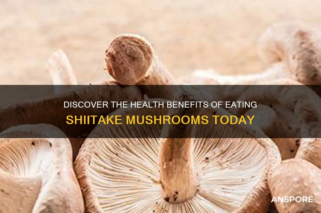 is eating shitak mushrooms