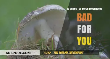 Mushroom Overload: Potential Health Risks of Excessive Consumption Explained