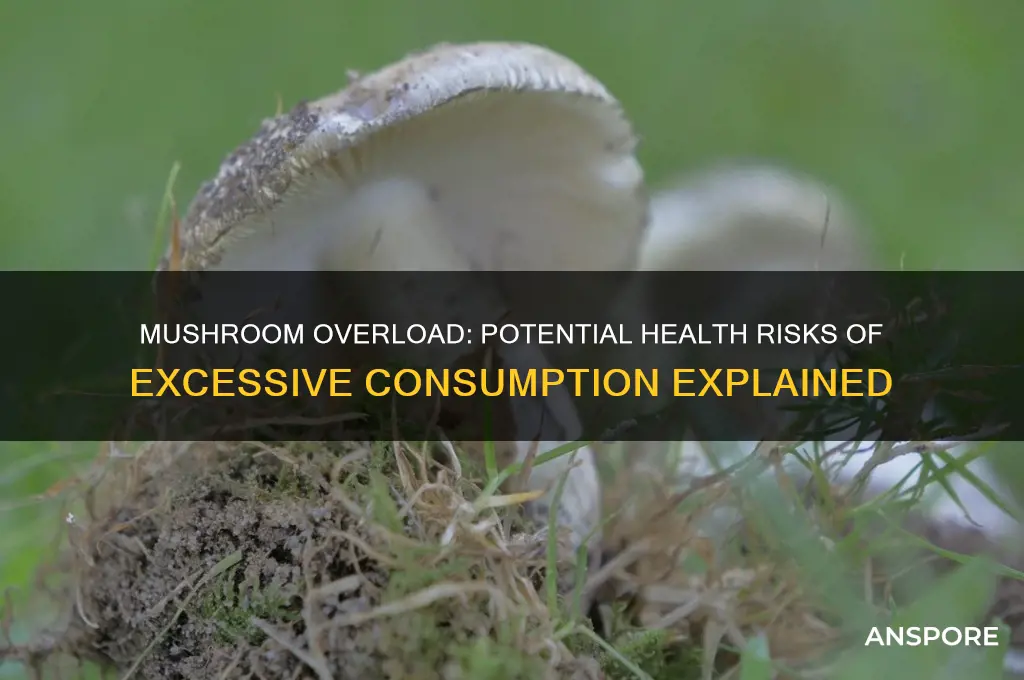 is eating too much mushroom bad for you