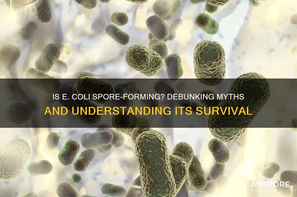 is ecoli spore forming