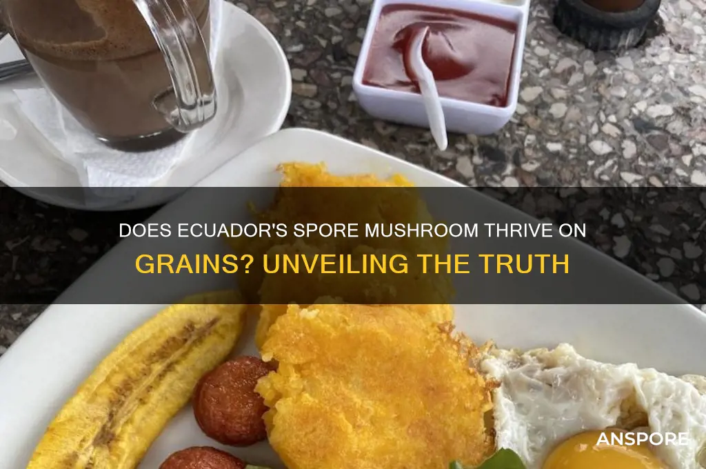 is ecuador spore mushroom a grain lover