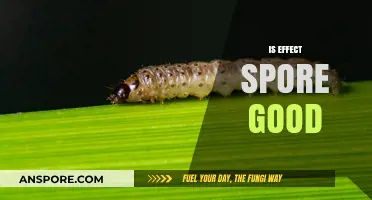 Is Effect Spore Good? Exploring Benefits, Risks, and User Experiences