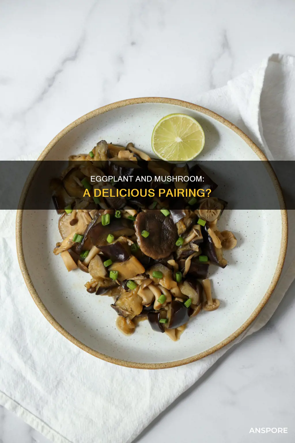 is eggplant goof with mushrooms