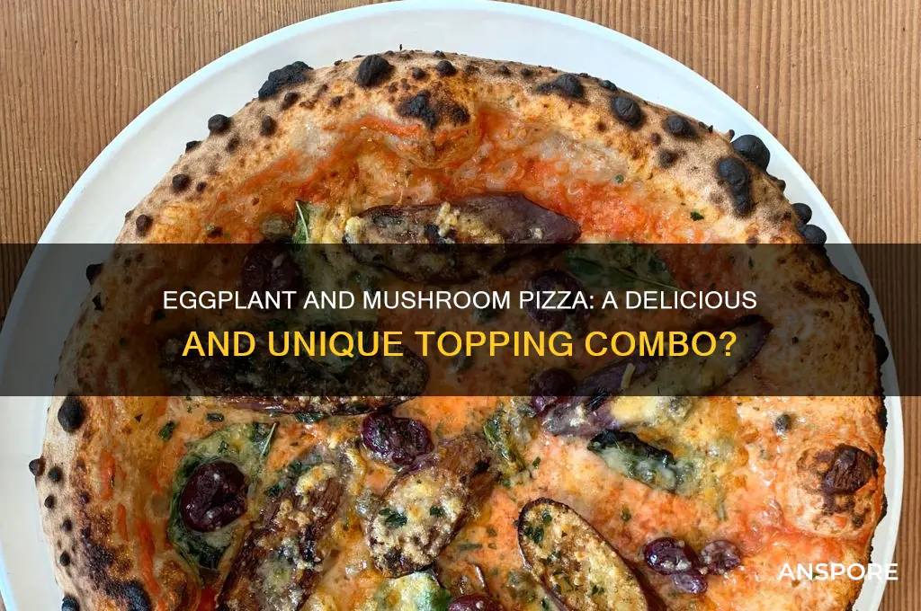is eggplant with mushrooms good on a pizza