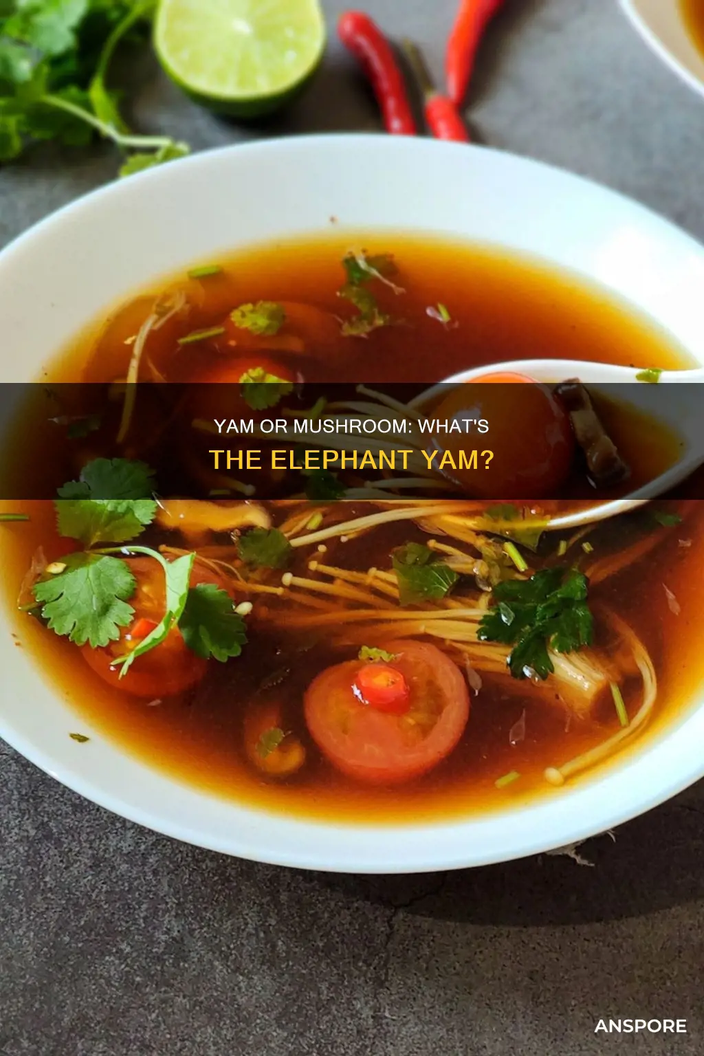 is elephant yam a mushroom