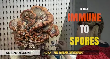 Is Ellie Immune to Spores? Unraveling The Last of Us Mystery