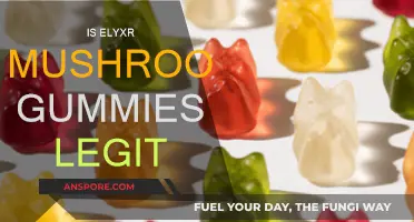 Elyxr Mushroom Gummies: Legit or a Gimmick?