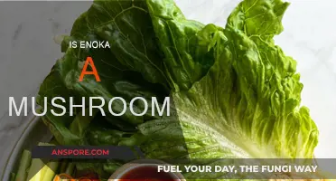 Enoka: Mushroom or Not?