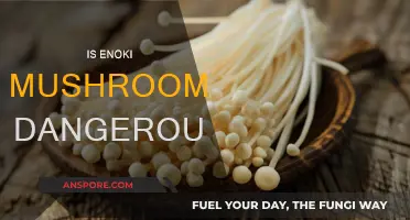 Enoki Mushrooms: Are They Safe to Eat?
