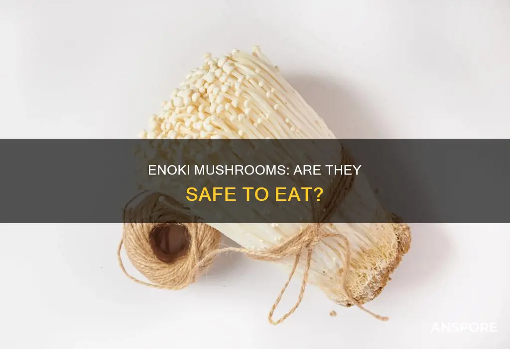 is enoki mushroom dangerous