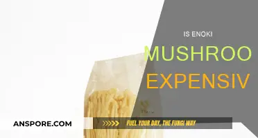 Enoki Mushrooms: Are They Worth the Price?