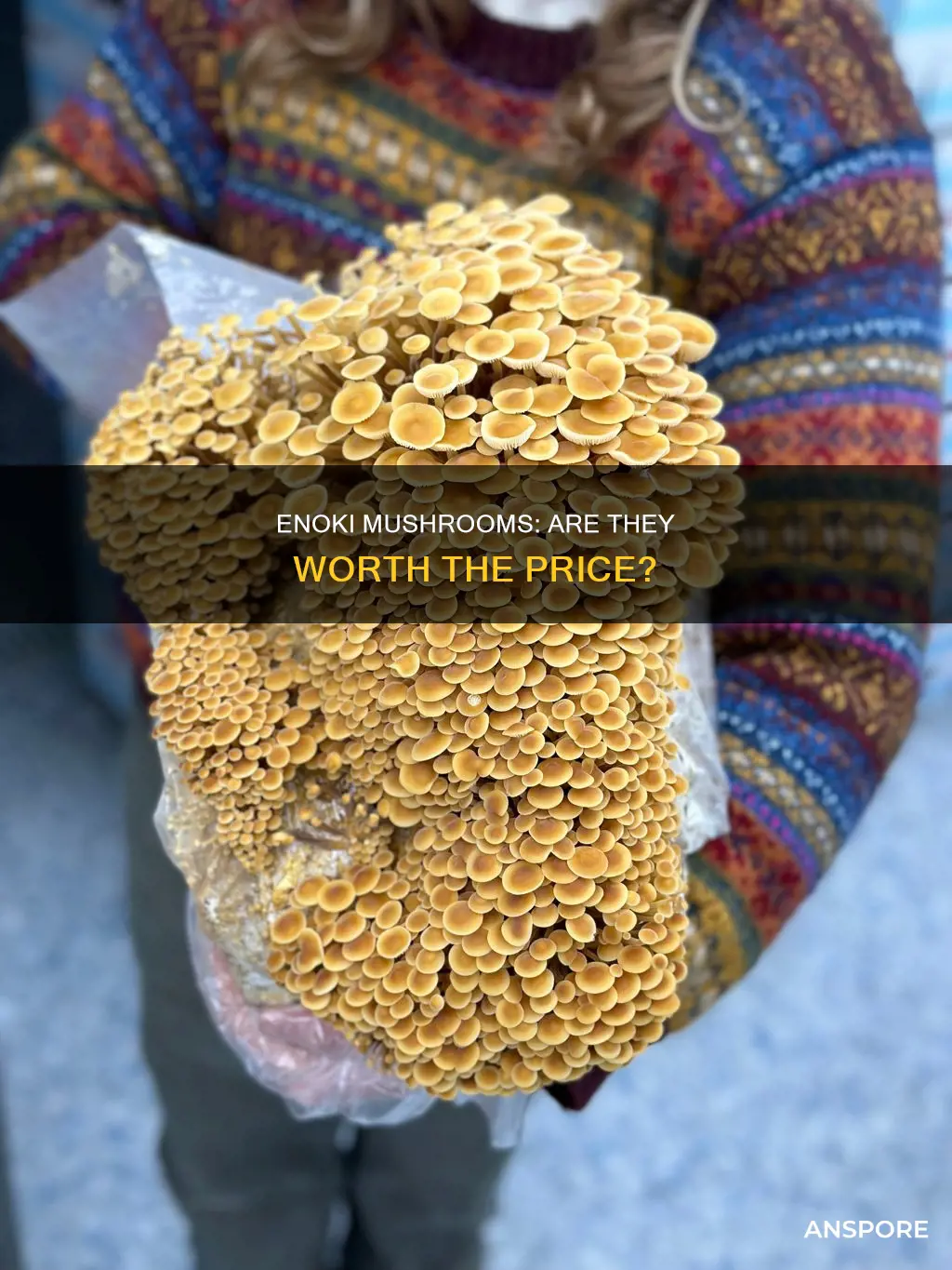 is enoki mushroom expensive