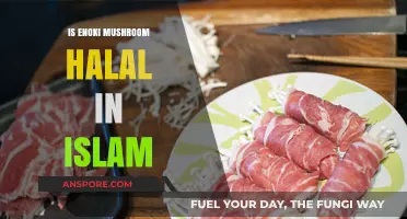 Enoki Mushrooms and Halal Diet: Islamic Perspective Explained