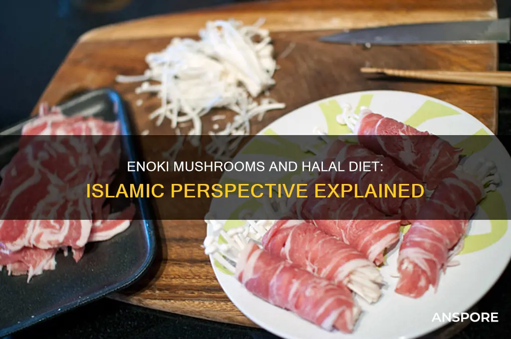 is enoki mushroom halal in islam