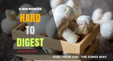 Are Enoki Mushrooms Hard to Digest? Exploring Digestibility and Tips