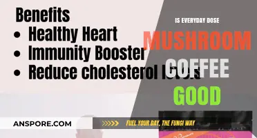 Mushroom Coffee Daily: Benefits, Risks, and Health Impact Explored