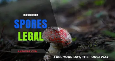 Is Exporting Spores Legal? Understanding Regulations and Compliance