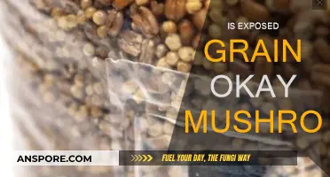 Grain-Exposed Mushrooms: Safe to Eat?
