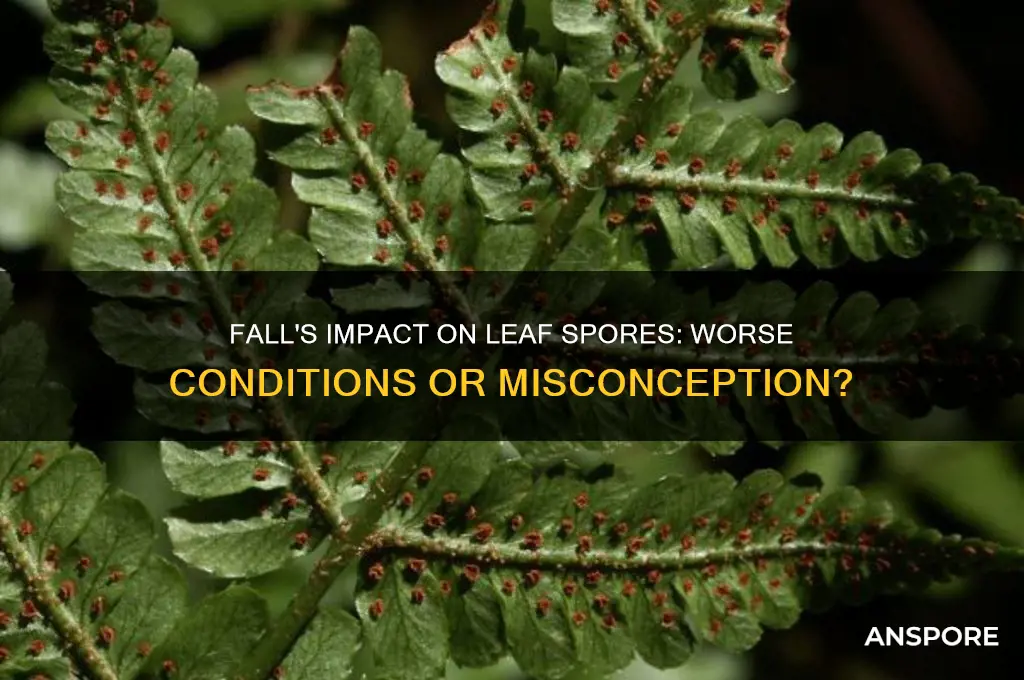 is fall is worse for leaf spores