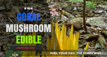 Is False Coral Mushroom Edible? A Comprehensive Guide to Safety