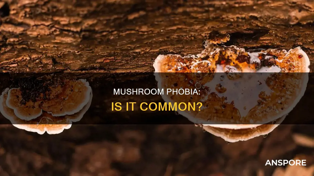 is fear of mushrooms common