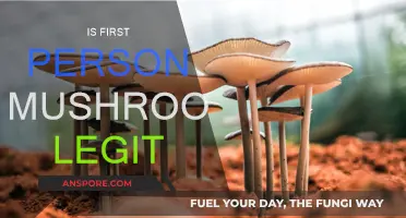 Legit or Not? First Person Mushrooms' Review