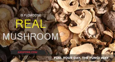 Real Mushrooms: Flowdose's Natural Superfood