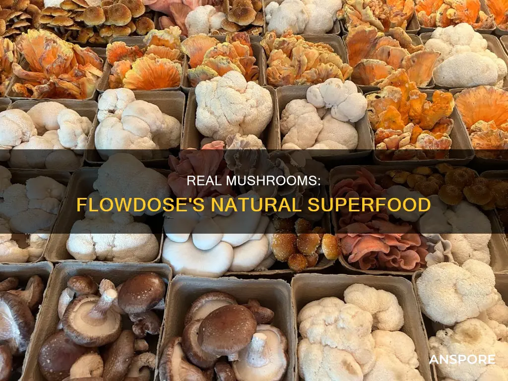 is flowdose real mushrooms