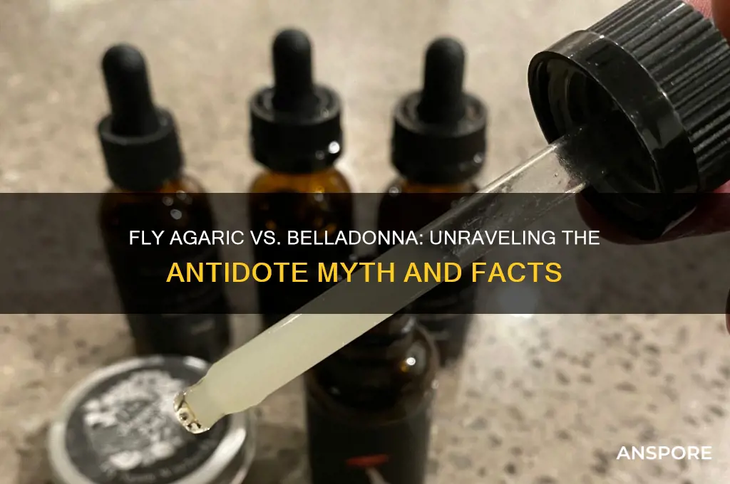 is fly agaric mushroom an antidote for bella donna