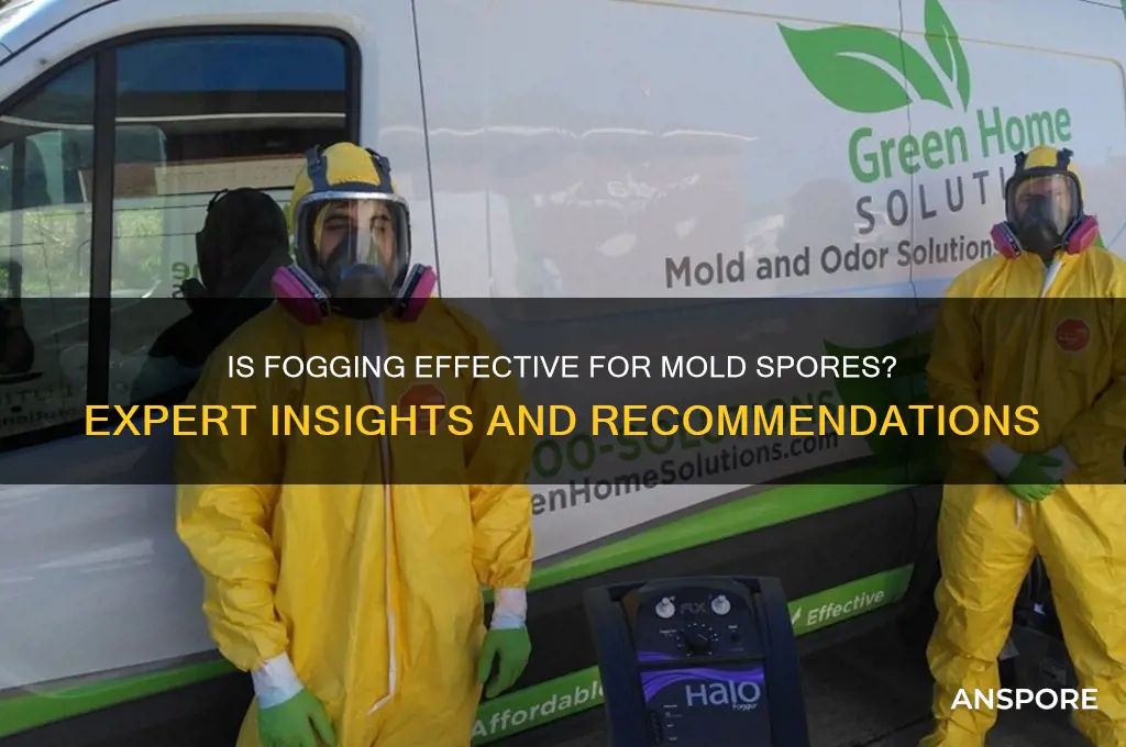 is fogging recommended for mold spores
