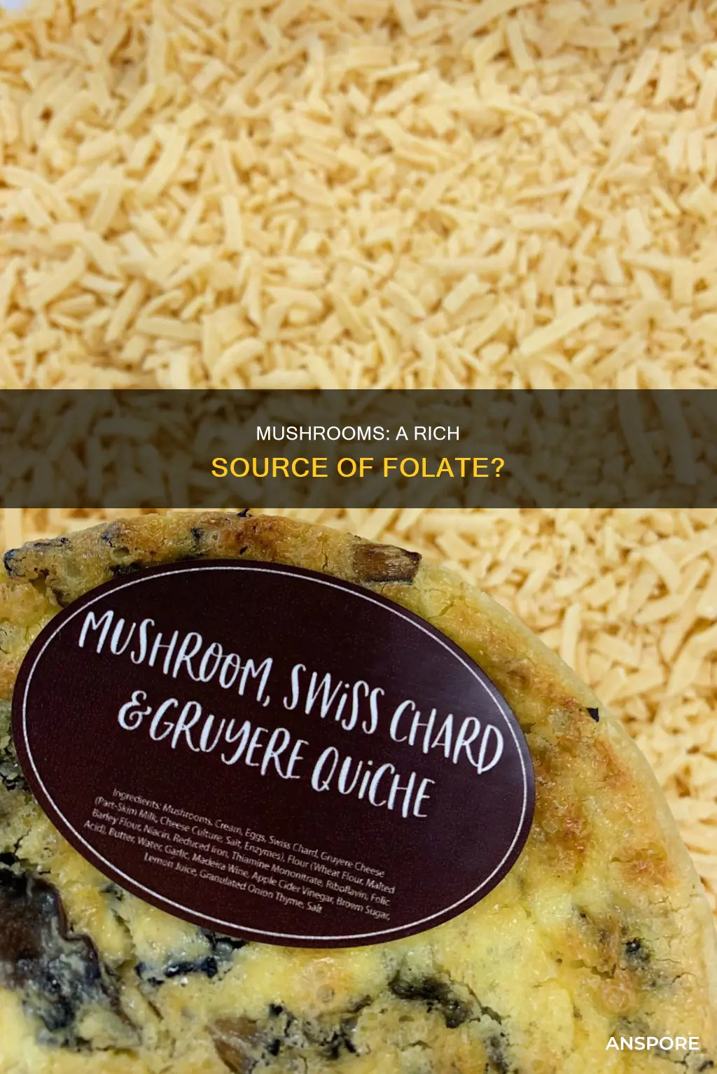 is folate in mushrooms