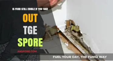 Can You Safely Eat Food After Removing Mold Spores?