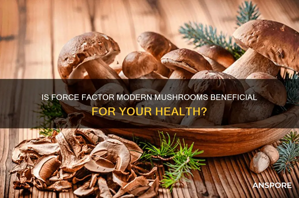 is force factor modern mushrooms good for you