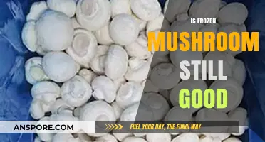 Are Frozen Mushrooms Still Good? A Comprehensive Guide to Quality and Safety