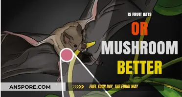Fruit Bats vs. Mushrooms: Which Contributes More to Ecosystems?