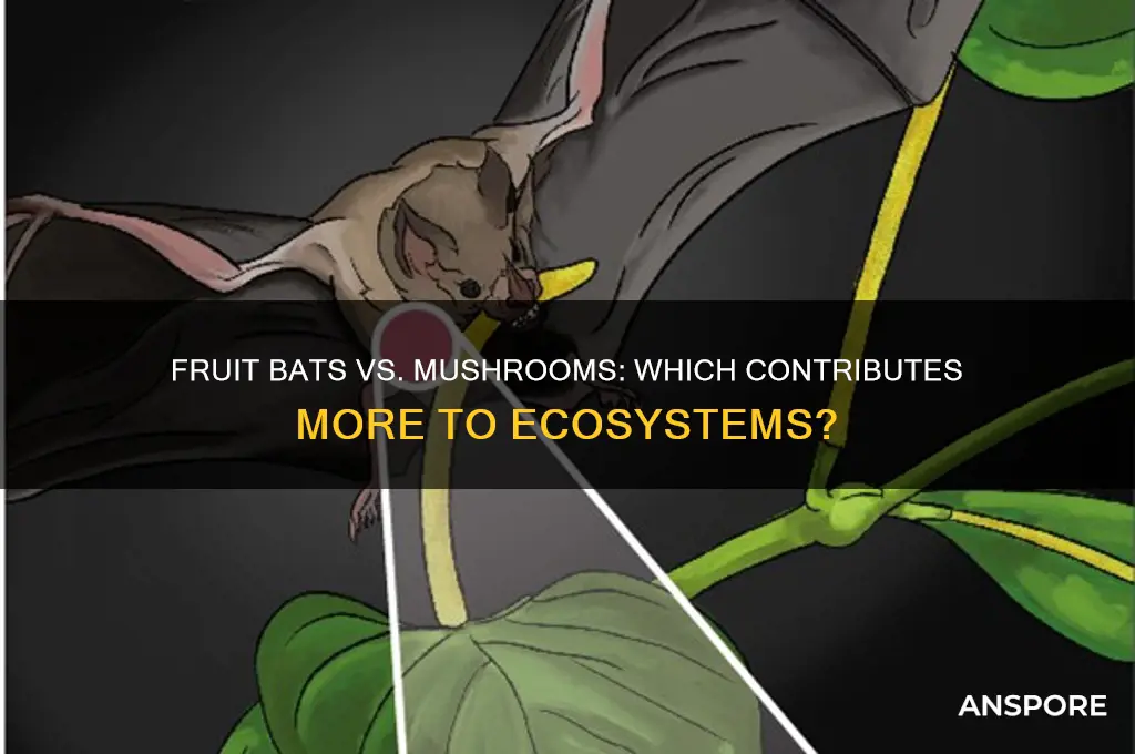 is fruit bats or mushrooms better