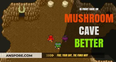 Fruit Cave vs. Mushroom Cave: Which Underground Paradise Reigns Supreme?