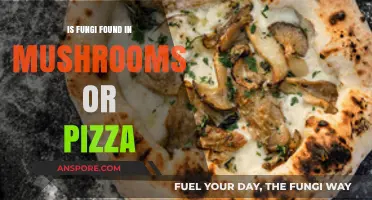 Fungi in Mushrooms vs. Pizza: Unraveling the Edible Mystery