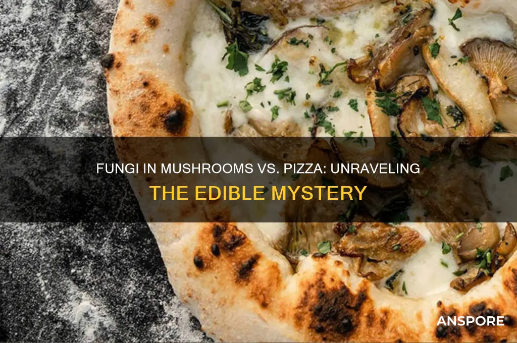 is fungi found in mushrooms or pizza