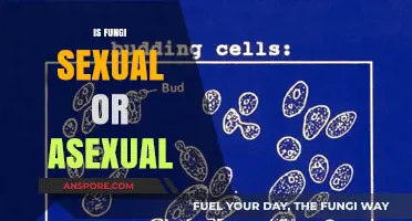 Exploring Fungi Reproduction: Sexual, Asexual, or Both?