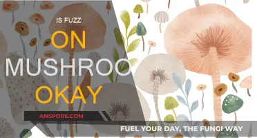 Fuzz on Mushrooms: Friend or Foe?