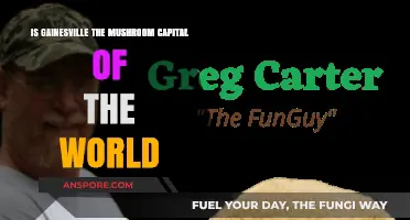 Gainesville's Fungal Fame: Is It the Mushroom Capital of the World?