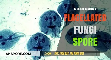 Is Giardia Lamblia a Flagellated Fungi Spore? Unraveling the Truth