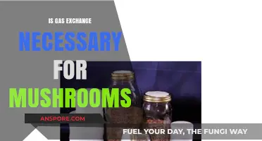 Do Mushrooms Need Gas Exchange to Survive and Thrive?